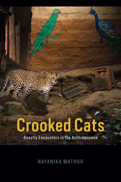 Crooked Cats: Beastly Encounters the Anthropocene