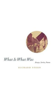 Title: What Is What Was, Author: Richard G. Stern
