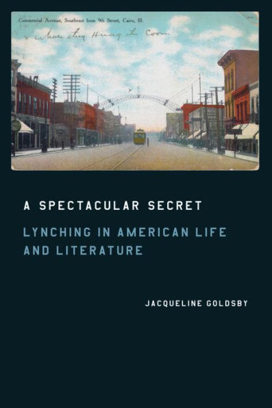 A Spectacular Secret: Lynching in American Life and Literature