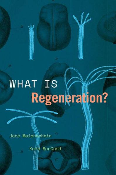 What Is Regeneration?