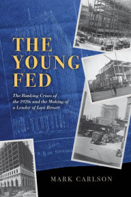 Free download ebooks for iphone 4 The Young Fed: The Banking Crises of the 1920s and the Making of a Lender of Last Resort (English Edition)