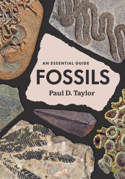 Fossils: An Essential Guide