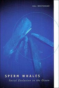 Title: Sperm Whales: Social Evolution in the Ocean, Author: Hal Whitehead