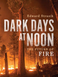 Free downloadable ebooks for nook Dark Days at Noon: The Future of Fire by Edward Struzik, Edward Struzik
