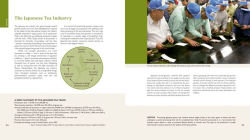 Alternative view 4 of Tea: History, Terroirs, Varieties