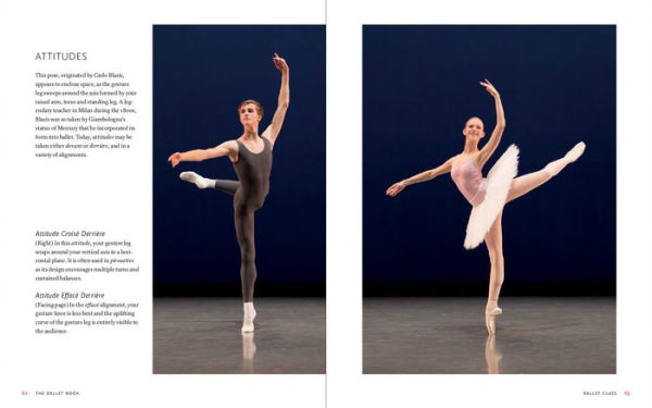 The Ballet Book: The Young Performer's Guide to Classical Dance