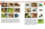 Alternative view 2 of Beetles: The Natural History and Diversity of Coleoptera