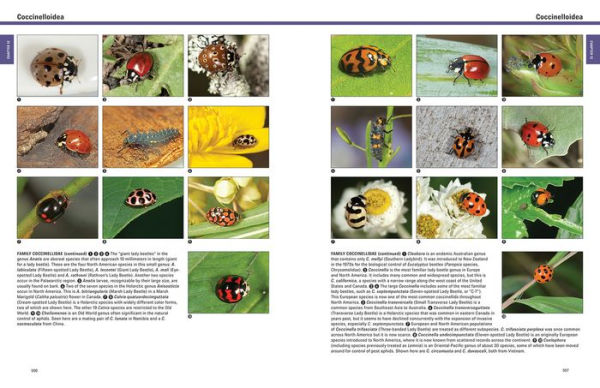 Beetles: The Natural History and Diversity of Coleoptera