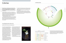 Alternative view 2 of The Art and Science of Foodpairing: 10,000 flavour matches that will transform the way you eat