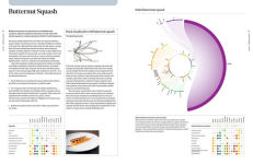 Alternative view 26 of The Art and Science of Foodpairing: 10,000 flavour matches that will transform the way you eat