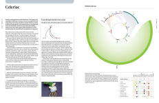 Alternative view 9 of The Art and Science of Foodpairing: 10,000 flavour matches that will transform the way you eat