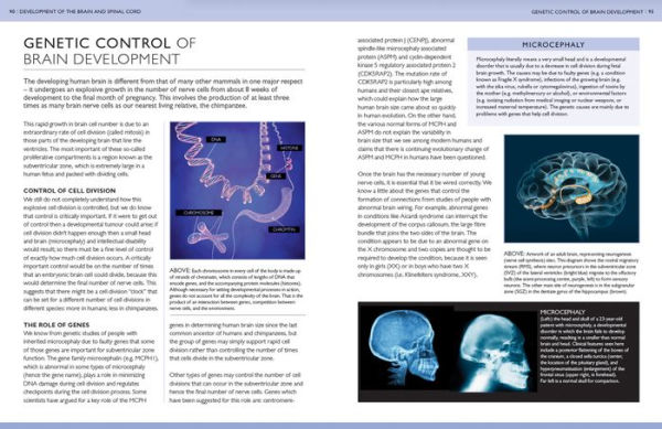 The Brain Book: Development, Function, Disorder, Health