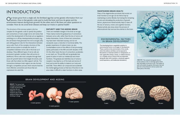 The Brain Book: Development, Function, Disorder, Health