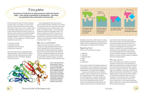 The Secret Life of the Human Body: Uncover the Hidden Workings of Your Body