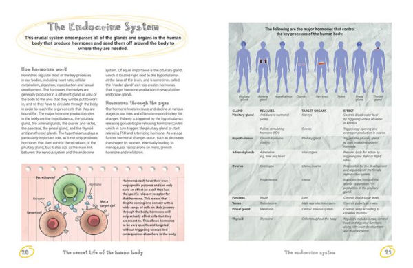 The Secret Life of the Human Body: Uncover the Hidden Workings of Your Body
