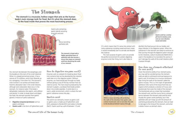 The Secret Life of the Human Body: Uncover the Hidden Workings of Your Body