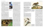 Alternative view 3 of The Handbook of Bird Families
