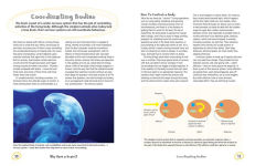 Alternative view 2 of The Secret Life of the Brain: Unlocking the Mysteries of the Mind