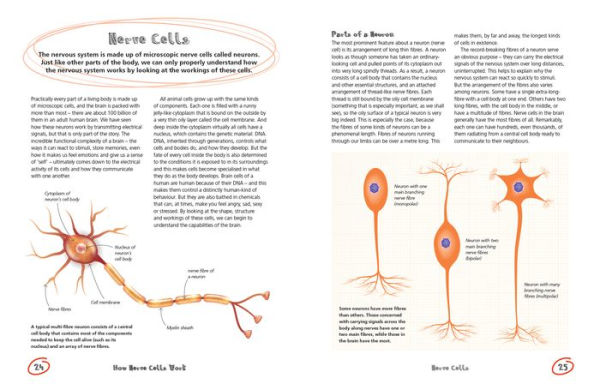 The Secret Life of the Brain: Unlocking the Mysteries of the Mind