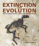 Alternative view 1 of Extinction and Evolution: What Fossils Reveal About the History of Life