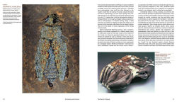 Alternative view 4 of Extinction and Evolution: What Fossils Reveal About the History of Life