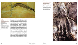 Alternative view 5 of Extinction and Evolution: What Fossils Reveal About the History of Life