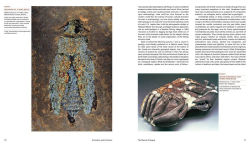 Alternative view 10 of Extinction and Evolution: What Fossils Reveal About the History of Life