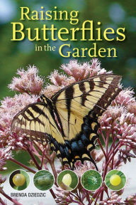 Title: Raising Butterflies in the Garden, Author: Brenda Dziedzic
