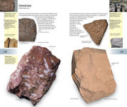 Alternative view 22 of The Firefly Guide to Minerals, Rocks and Gems