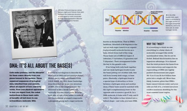 The Anatomy Bible: The Incredible Biology of You