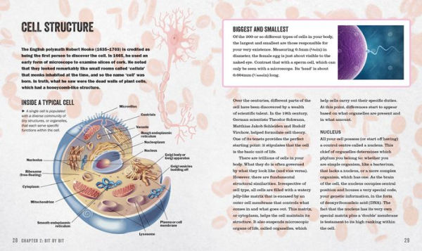 The Anatomy Bible: The Incredible Biology of You