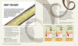 Alternative view 4 of The Anatomy Bible: The Incredible Biology of You