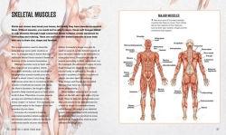 Alternative view 5 of The Anatomy Bible: The Incredible Biology of You