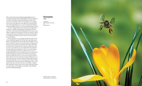 Capturing Motion: My Life in High-Speed Nature Photography