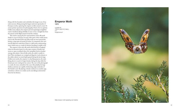 Capturing Motion: My Life in High-Speed Nature Photography