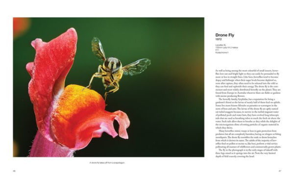 Capturing Motion: My Life in High-Speed Nature Photography