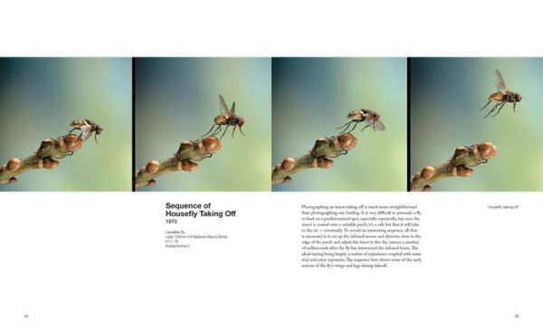 Capturing Motion: My Life in High-Speed Nature Photography
