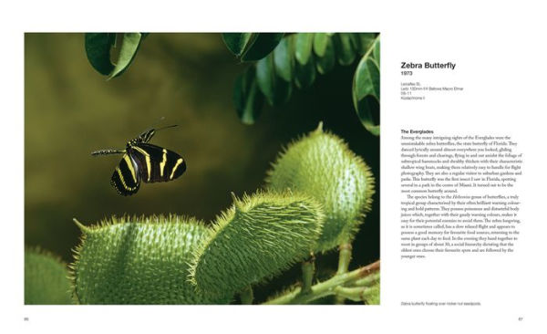 Capturing Motion: My Life in High-Speed Nature Photography
