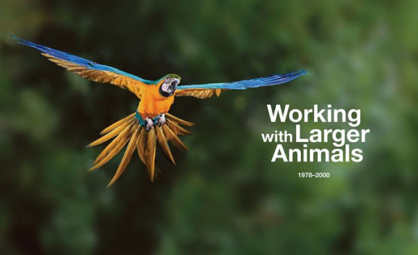Capturing Motion: My Life in High-Speed Nature Photography