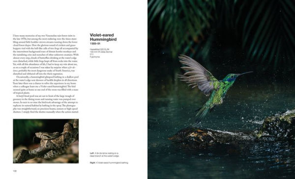Capturing Motion: My Life in High-Speed Nature Photography