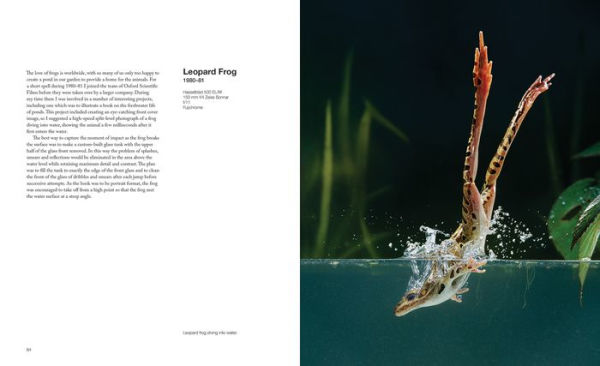 Capturing Motion: My Life in High-Speed Nature Photography