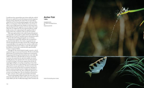 Capturing Motion: My Life in High-Speed Nature Photography