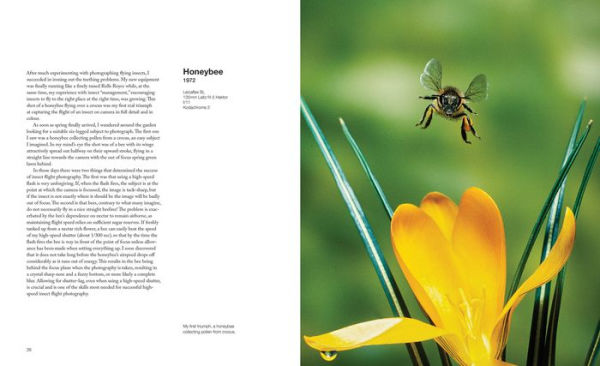 Capturing Motion: My Life in High-Speed Nature Photography