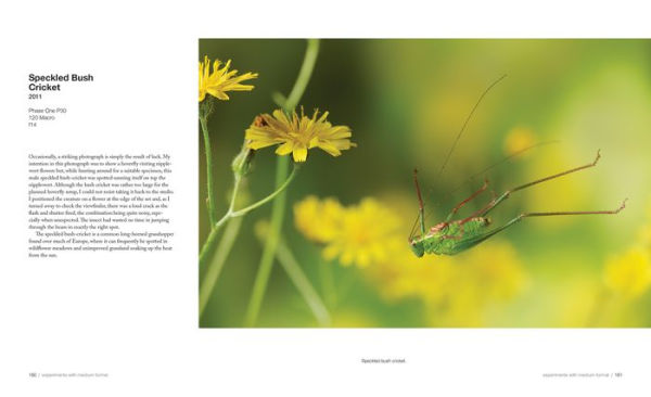 Capturing Motion: My Life in High-Speed Nature Photography