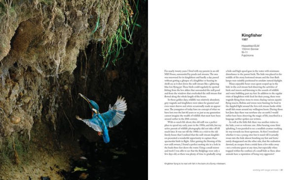 Capturing Motion: My Life in High-Speed Nature Photography
