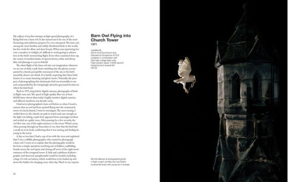 Capturing Motion: My Life in High-Speed Nature Photography