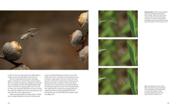 Capturing Motion: My Life in High-Speed Nature Photography