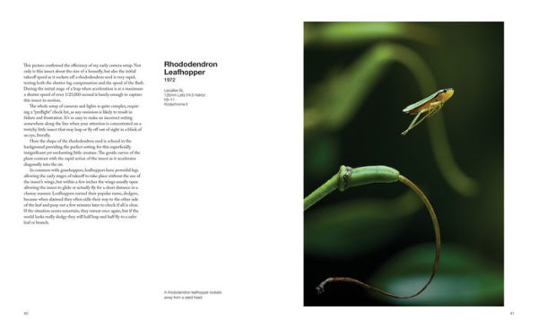 Capturing Motion: My Life in High-Speed Nature Photography