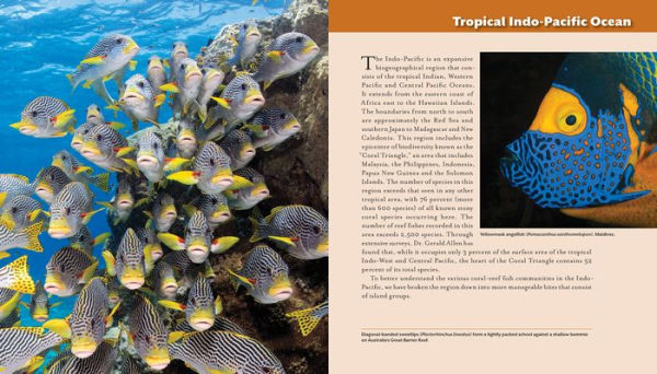 Reef Life: A Guide to Tropical Marine Life