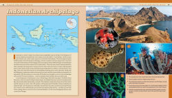 Alternative view 18 of Reef Life: A Guide to Tropical Marine Life